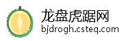 龙盘虎踞网